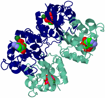 Image Biological Unit 2