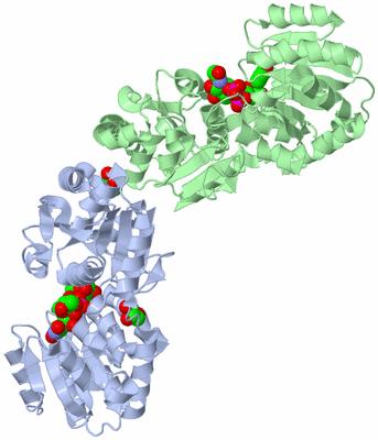 Image Asym./Biol. Unit