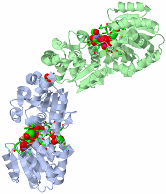 Image Asym./Biol. Unit - sites