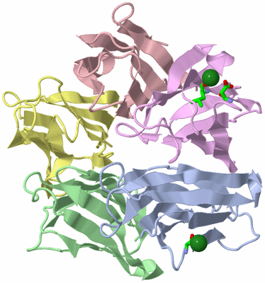 Image Asym./Biol. Unit - sites