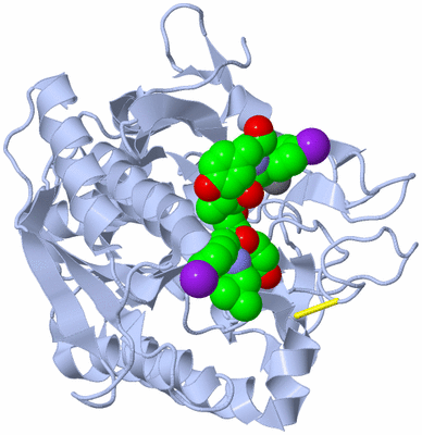 Image Asym./Biol. Unit