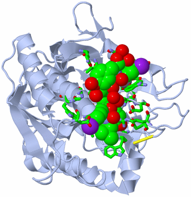 Image Asym./Biol. Unit - sites