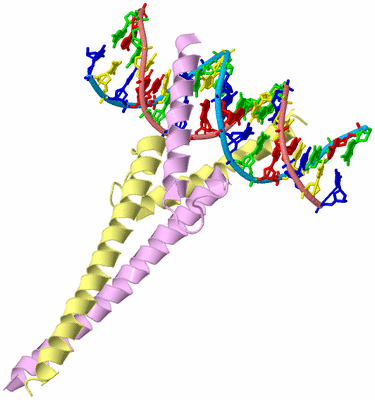 Image Biological Unit 2