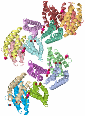 Image Biological Unit 1