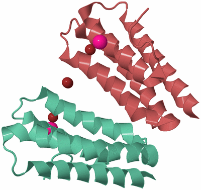 Image Biological Unit 10