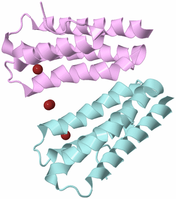 Image Biological Unit 11