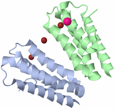 Image Biological Unit 12