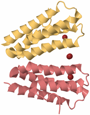 Image Biological Unit 13