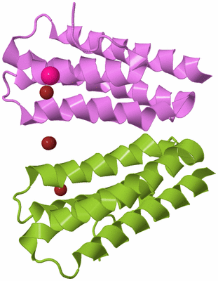 Image Biological Unit 14