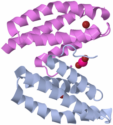 Image Biological Unit 2