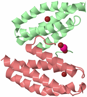 Image Biological Unit 3