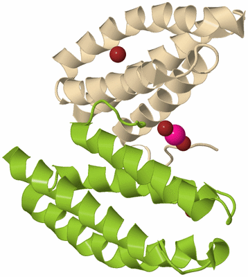 Image Biological Unit 4