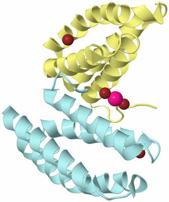 Image Biological Unit 5