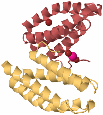 Image Biological Unit 6