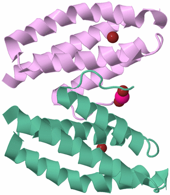 Image Biological Unit 7