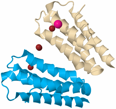 Image Biological Unit 8