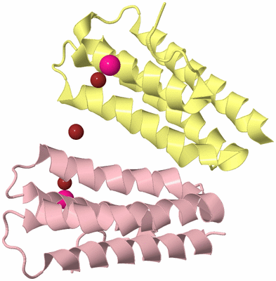 Image Biological Unit 9