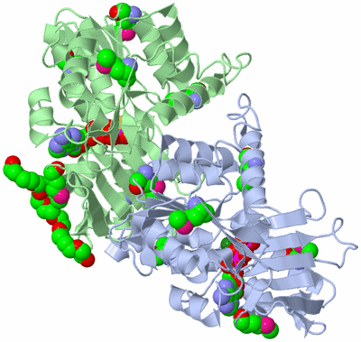 Image Asymmetric Unit