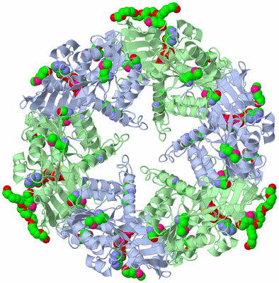 Image Biological Unit 1