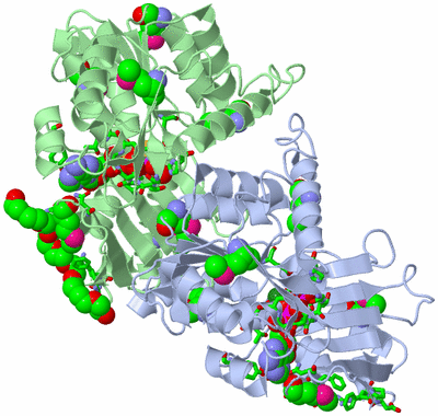 Image Asym. Unit - sites
