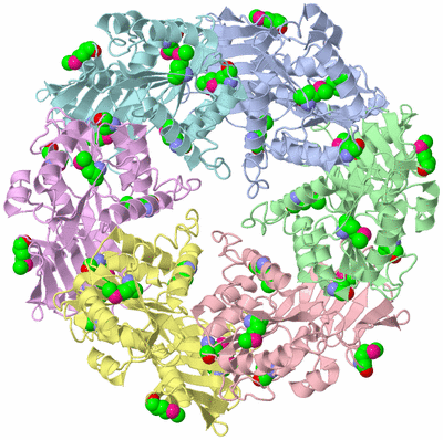 Image Asym./Biol. Unit