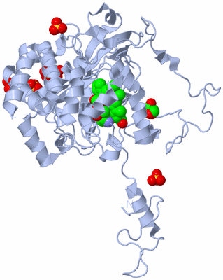 Image Biological Unit 1