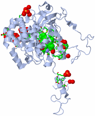 Image Biol. Unit 1 - sites