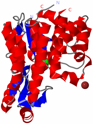 Image Asym./Biol. Unit