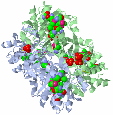 Image Biological Unit 1