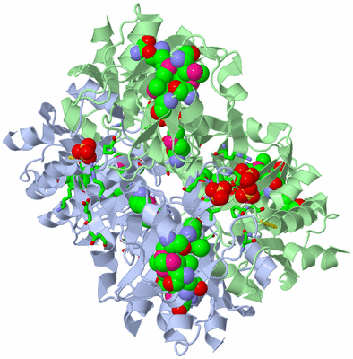 Image Biol. Unit 1 - sites