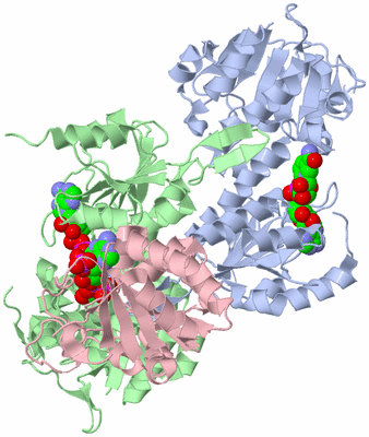 Image Asym./Biol. Unit