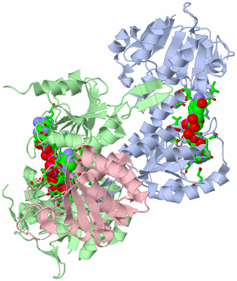 Image Asym./Biol. Unit - sites