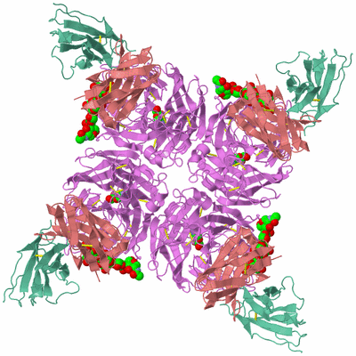 Image Biological Unit 1