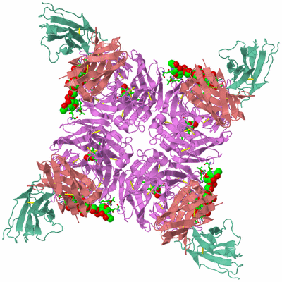 Image Biol. Unit 1 - sites