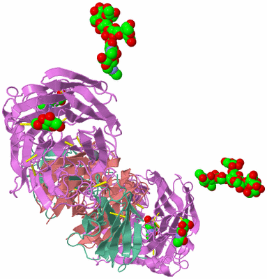 Image Biological Unit 1