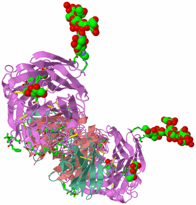 Image Biol. Unit 1 - sites