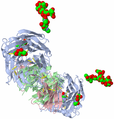 Image Biological Unit 2