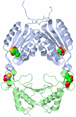 Image Biological Unit 5