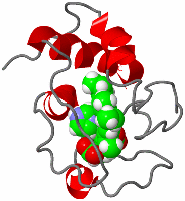 Image NMR Structure - model 1