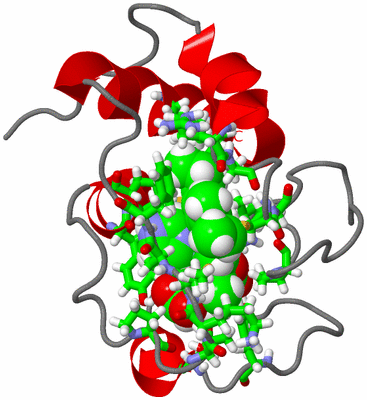 Image NMR Structure - model 1, sites