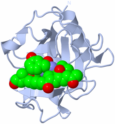 Image Biological Unit 1