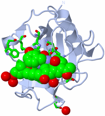 Image Biol. Unit 1 - sites