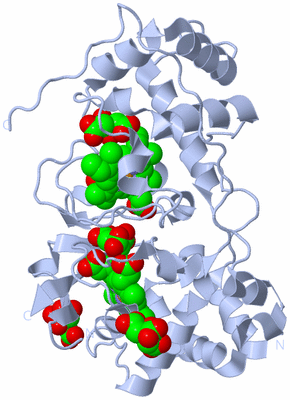 Image Biological Unit 1