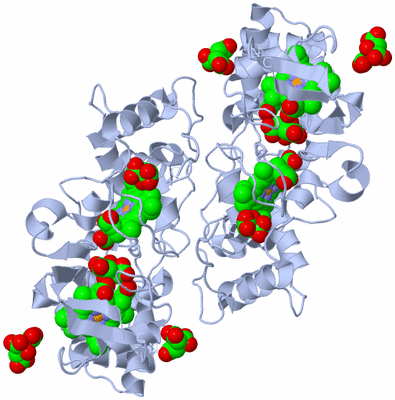 Image Biological Unit 2