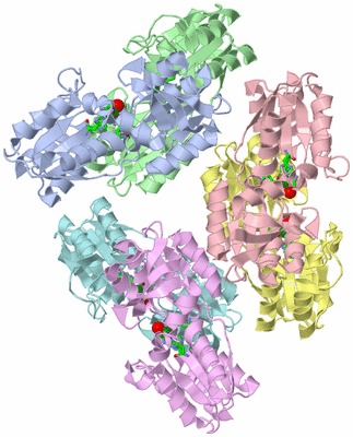 Image Biol. Unit 1 - sites