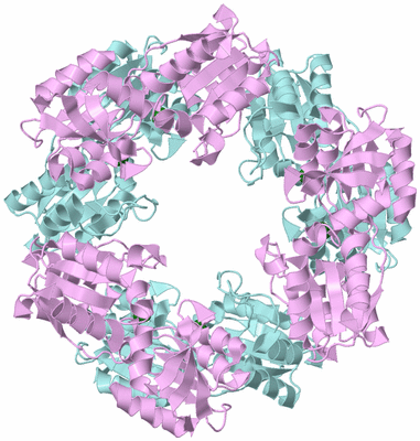 Image Biological Unit 2