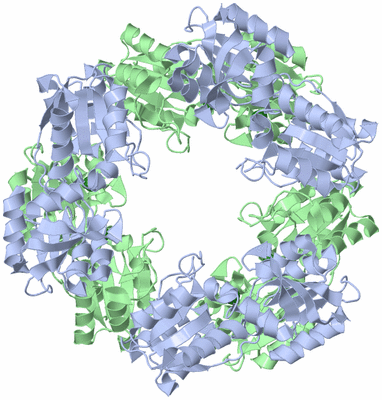 Image Biological Unit 3