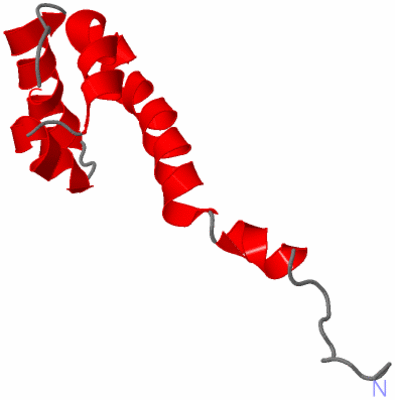 Image NMR Structure - model 1