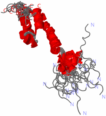 Image NMR Structure - all models