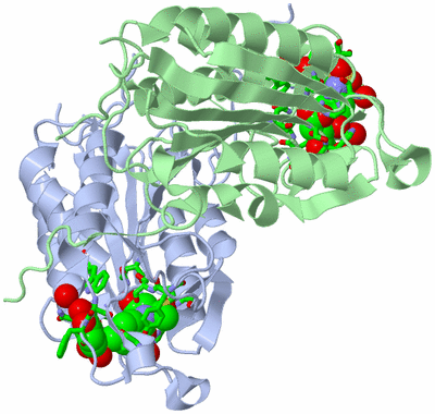 Image Biol. Unit 1 - sites